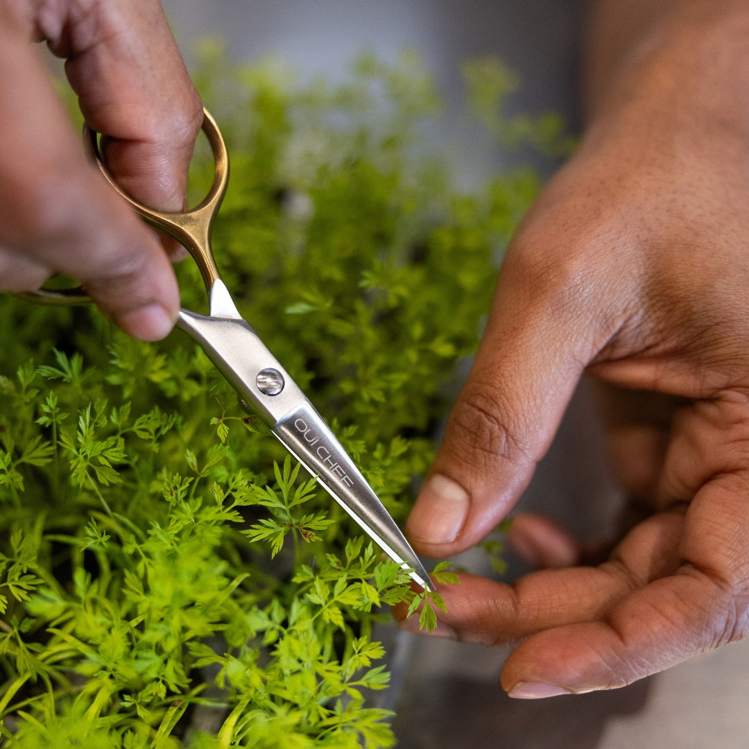 oui-chef-gold-top-scissors-la-colombe