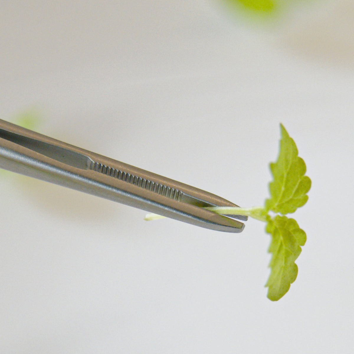 FineTouch Chef’s Tweezers Duo