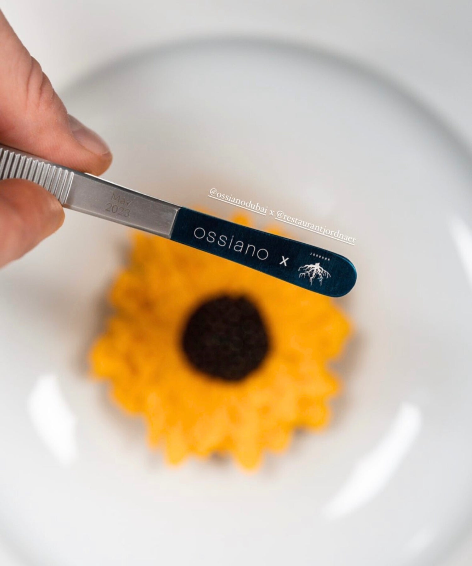 OuiChef Ossiano Four Hands