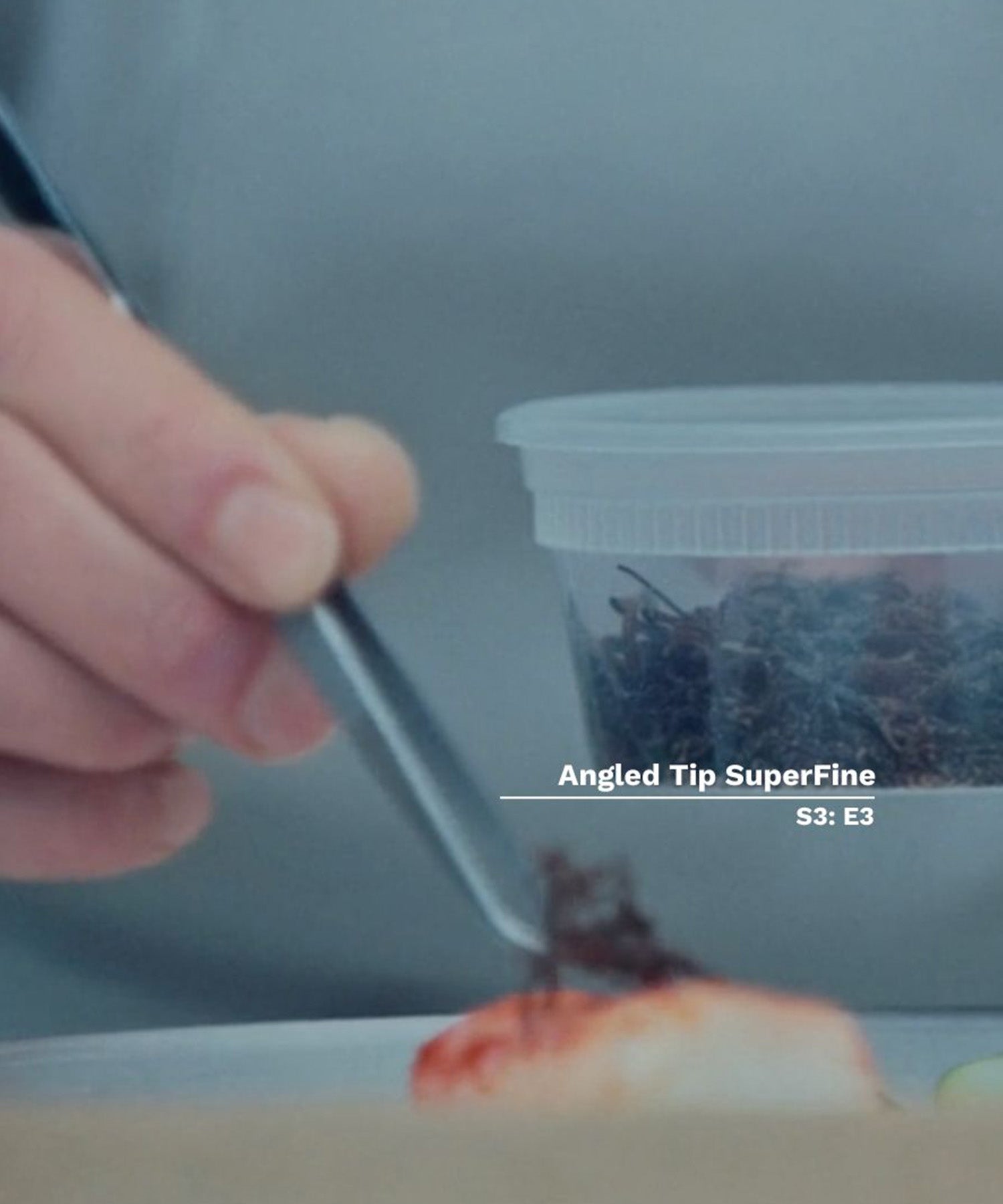 angled_superfine_tweezers_the_bear